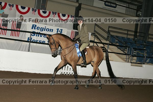 Proof Number r14-04_0150